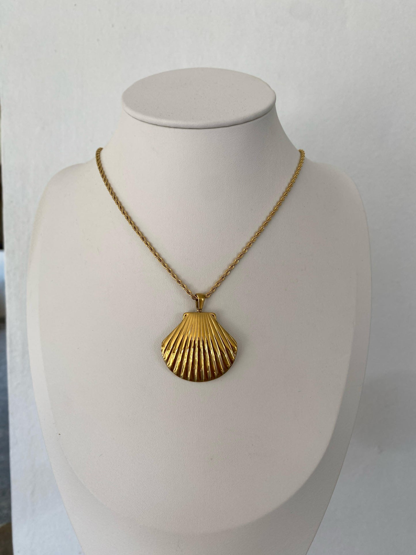 Cadena Concha de Mar XL