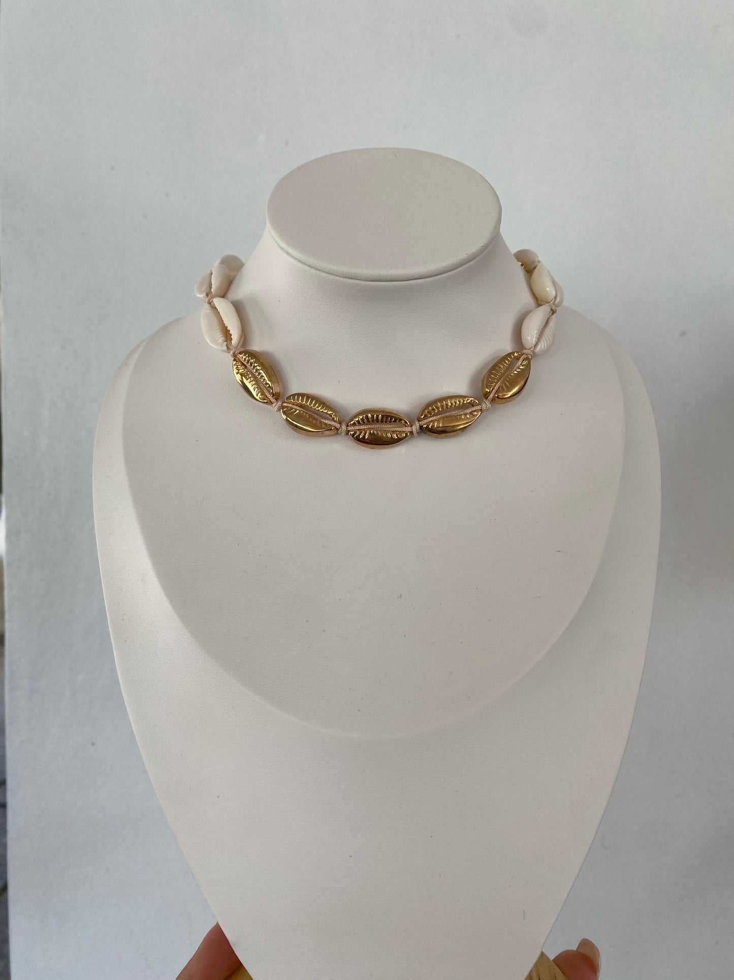 Chocker Seashell Doradito