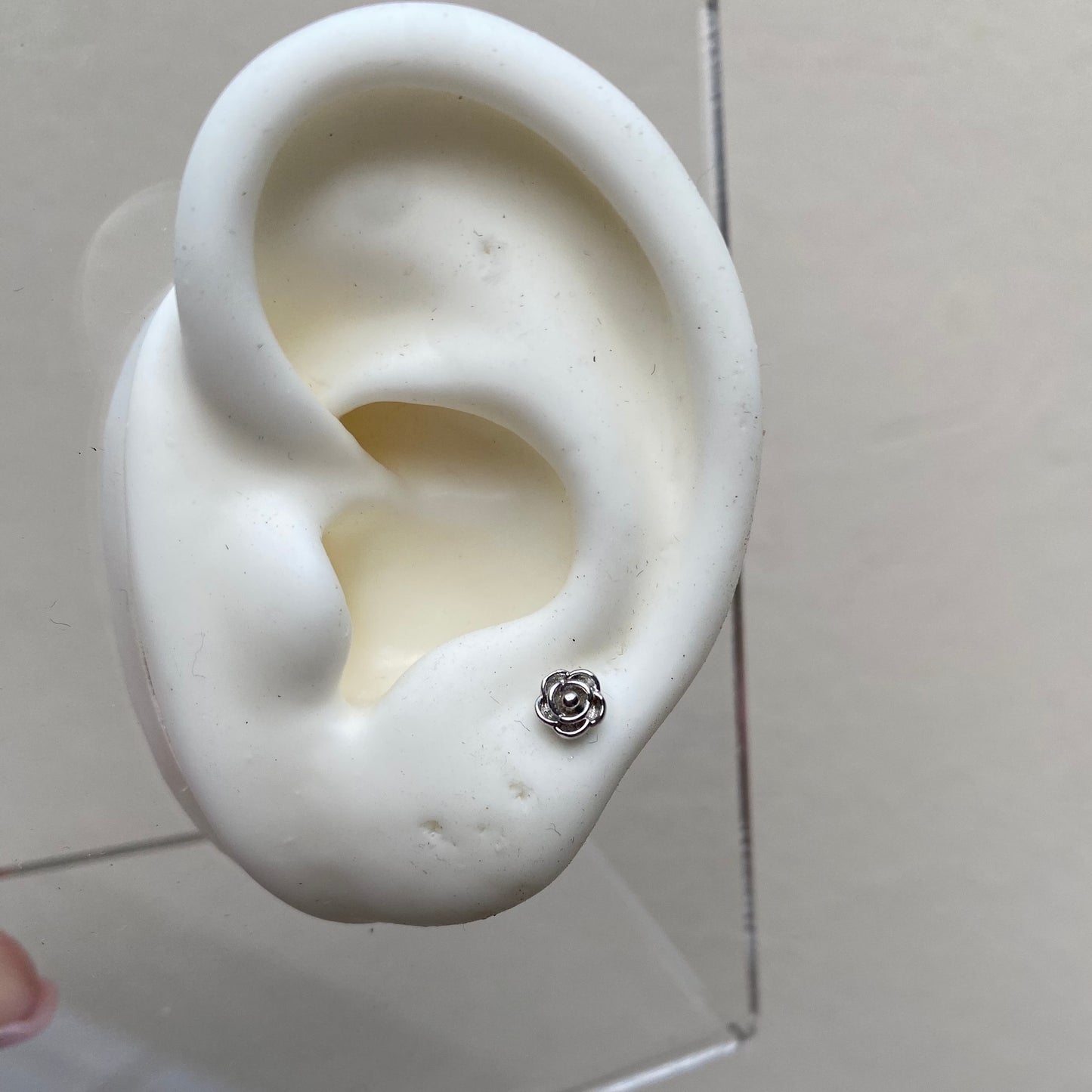 Piercing Rosa Silver