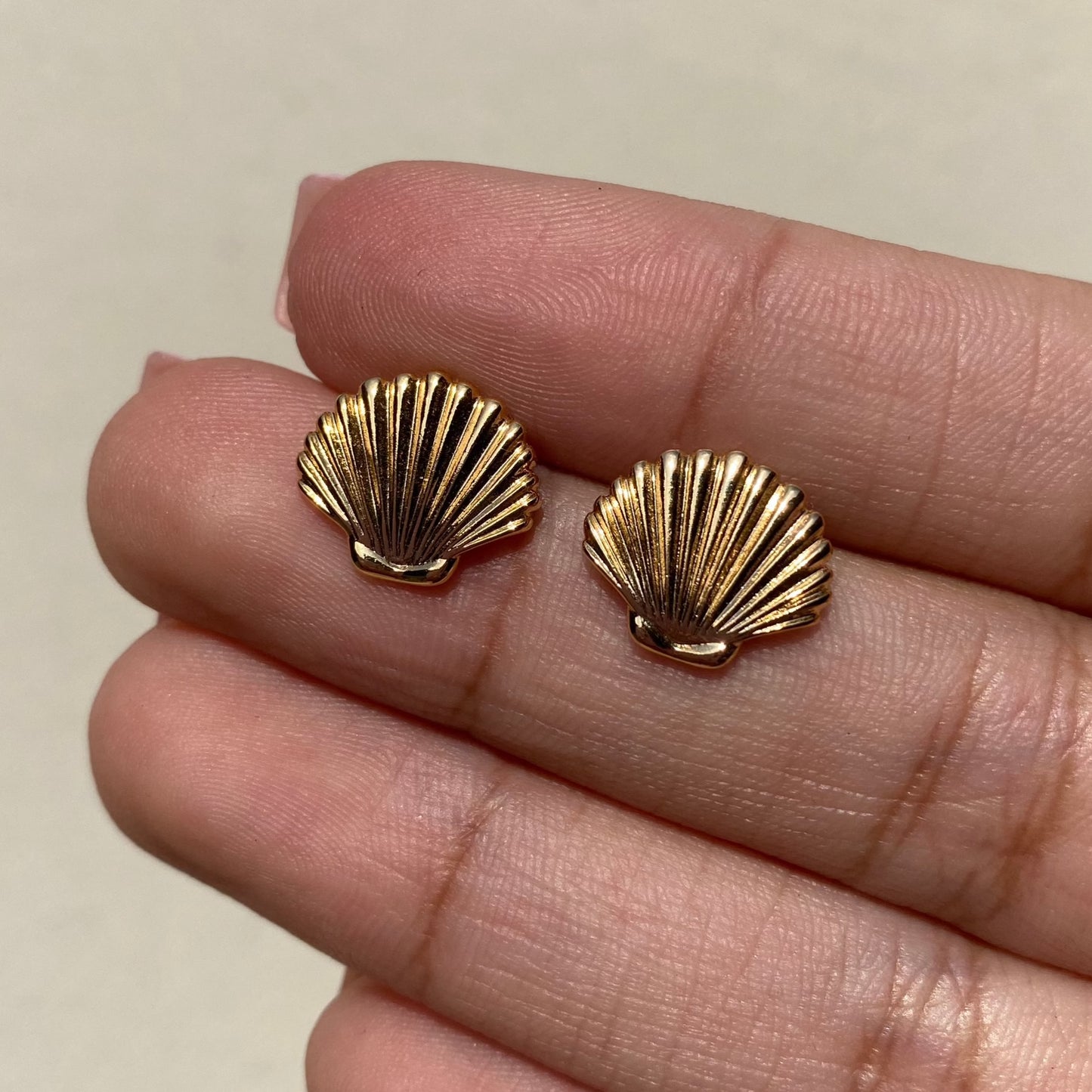 Studs Conchas de Mar