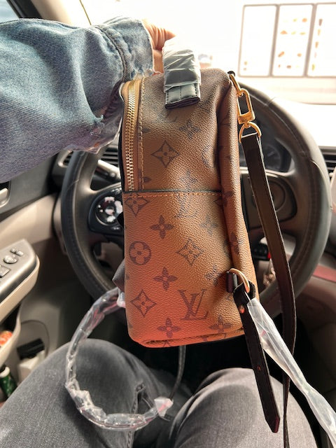 Mochila LV Pequeña Monogram