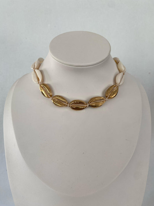 Chocker Seashell Doradito