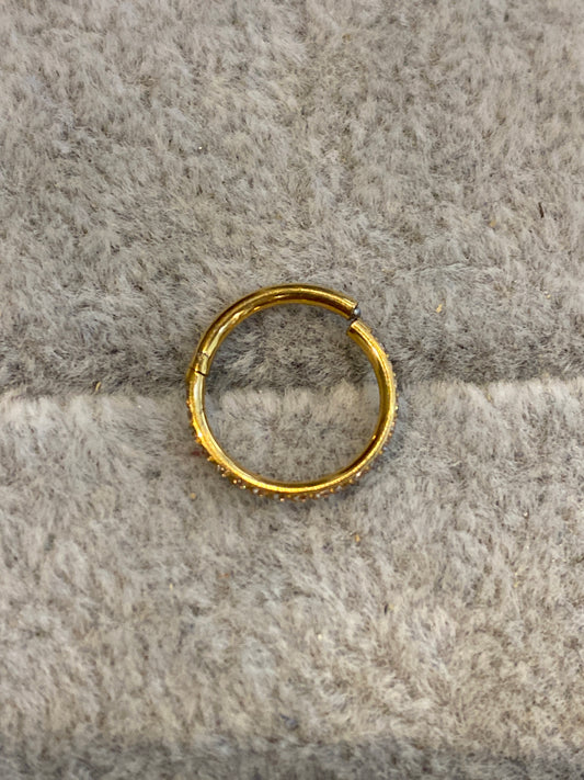 Hoop Nariz Brillante