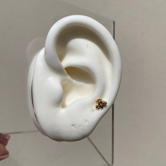 Piercing Abeja Gold