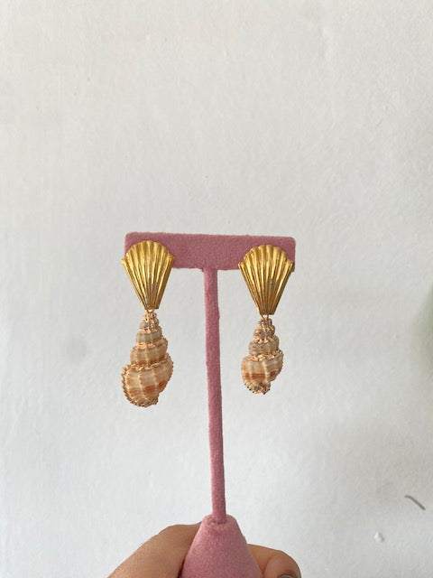 Caracoles Dorados