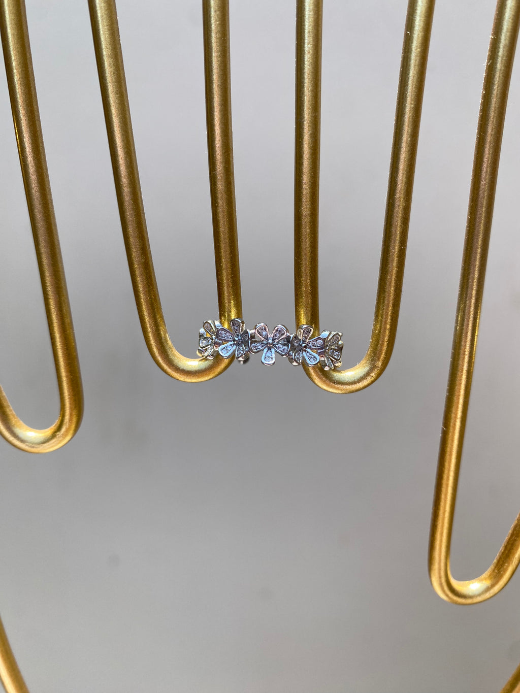 Anillo Silver Margaritas