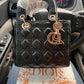 Cartera Lady DIOR Pña
