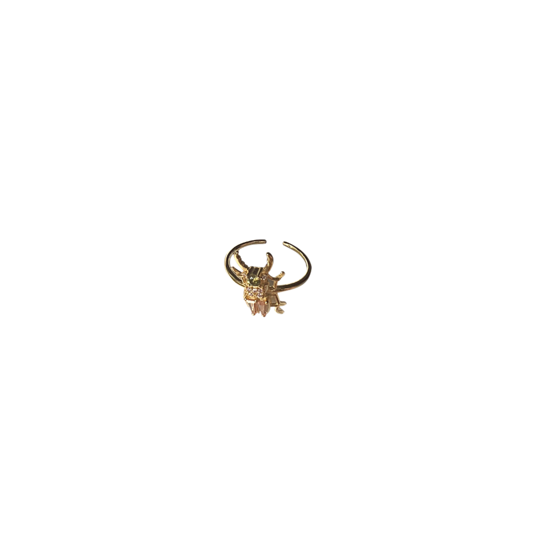 Anillo Escarabajo Ajustable