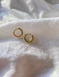 Mini Hoops Gold Dots Clear XL