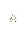 Septum Falso